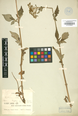 LE 01008844