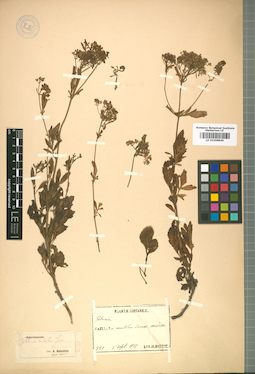 LE 01008846