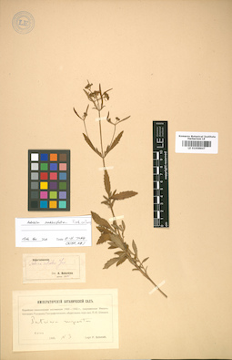 LE 01008847