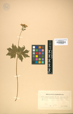 LE 01008848