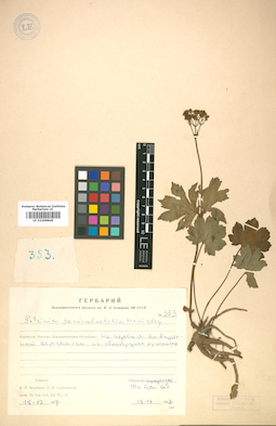 LE 01008849