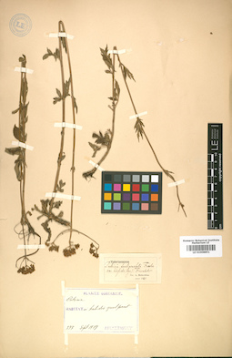 LE 01008851