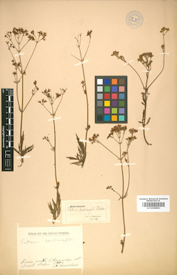 LE 01008852