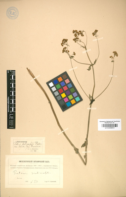 LE 01008854