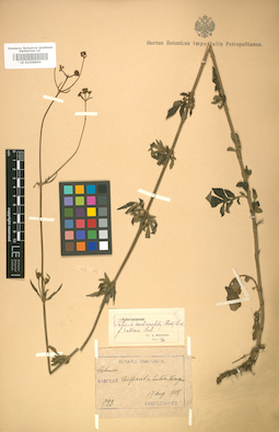 LE 01008859