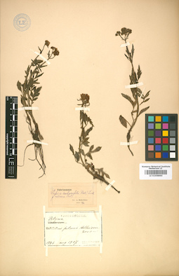 LE 01008860