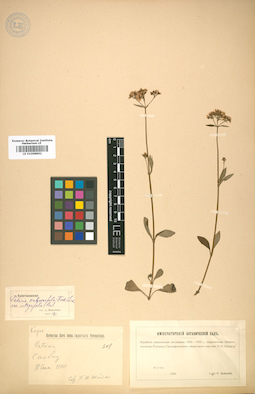 LE 01008862