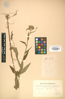 LE 01008875