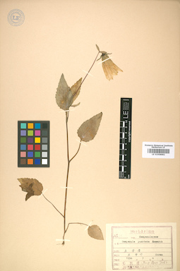 LE 01008882