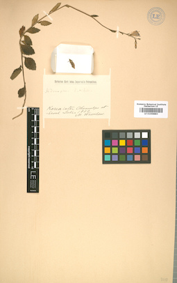 LE 01008883