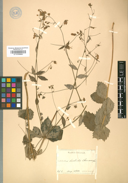 LE 01008884