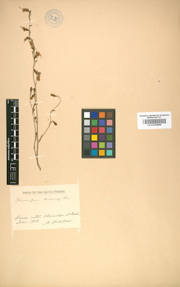LE 01008886
