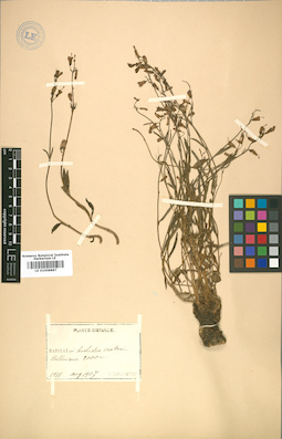 LE 01008887