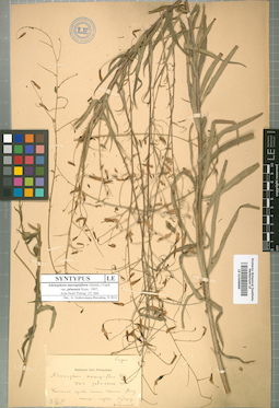 LE 01008889