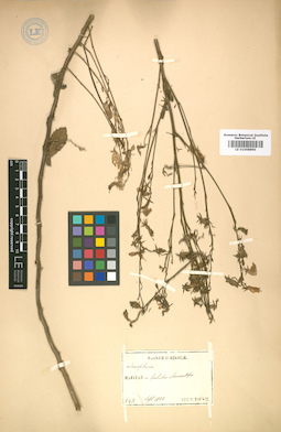 LE 01008890