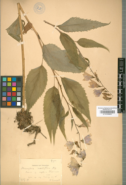 LE 01008892