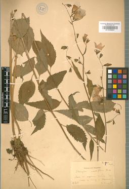 LE 01008893