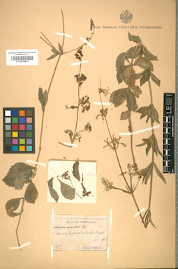 LE 01008897