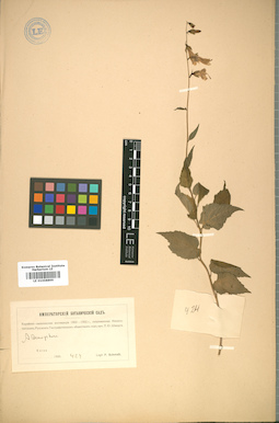 LE 01008899