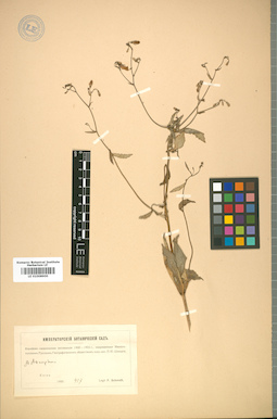 LE 01008900
