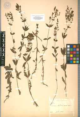 LE 01008901