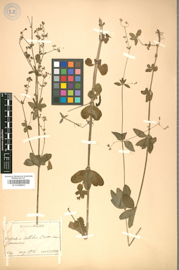 LE 01008902