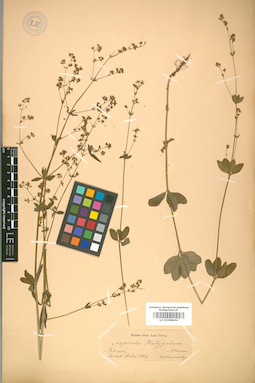 LE 01008904