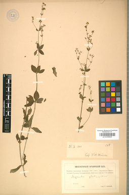 LE 01008905