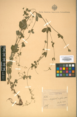LE 01008908