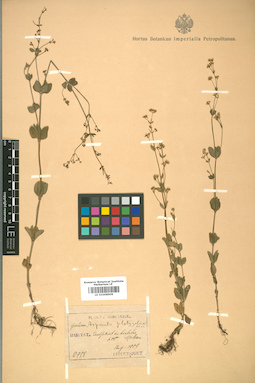 LE 01008909