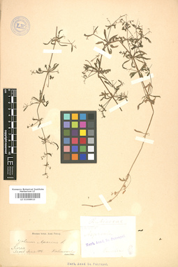 LE 01008910