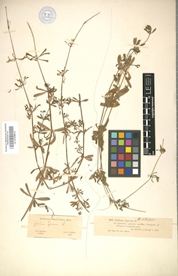 LE 01008911