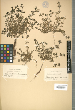 LE 01008912