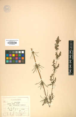 LE 01008928