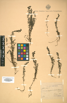 LE 01008933