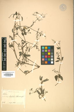 LE 01008948