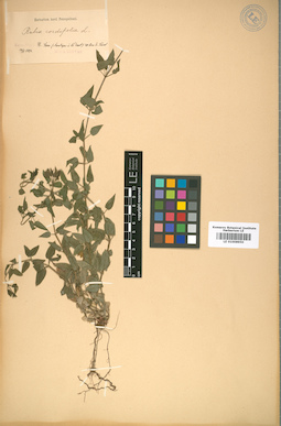 LE 01008950