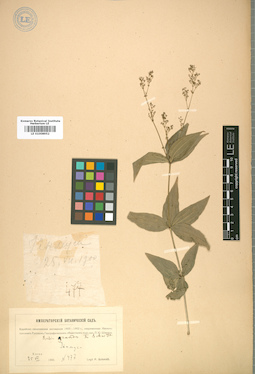 LE 01008952