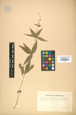 LE 01008953