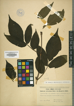 LE 01008955