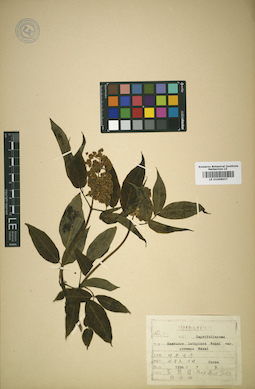 LE 01008957