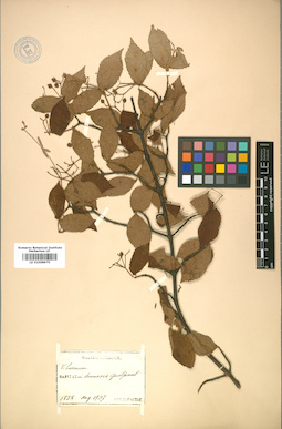 LE 01008970