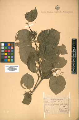 LE 01008973