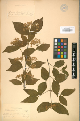 LE 01008974