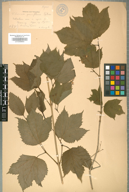 LE 01008984