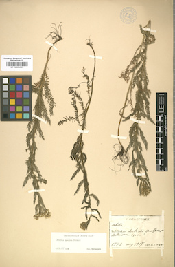 LE 01009003