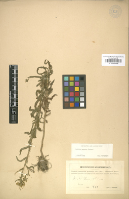LE 01009004