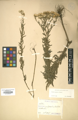 LE 01009005