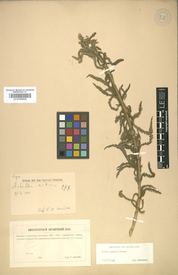 LE 01009006