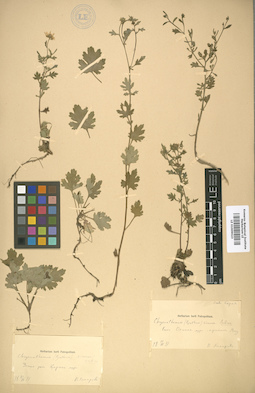 LE 01009023
